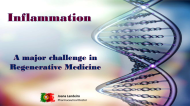 Inflammation - A Major challenge in Regenerative Medicine